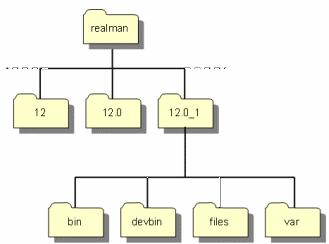 Reality instance directory in realman